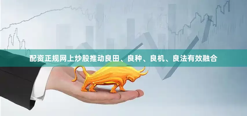 配资正规网上炒股推动良田、良种、良机、良法有效融合