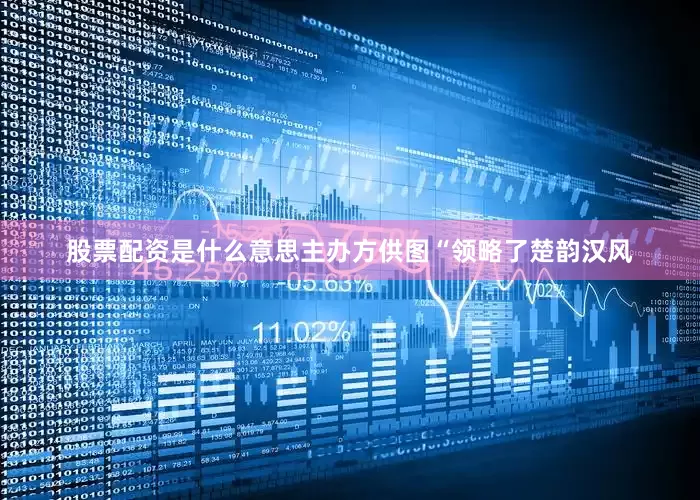股票配资是什么意思　　主办方供图　　“领略了楚韵汉风