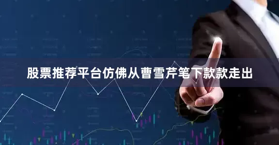 股票推荐平台仿佛从曹雪芹笔下款款走出
