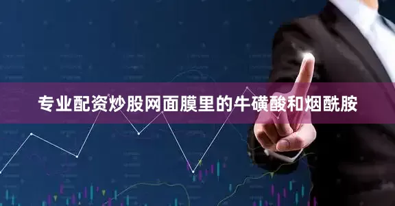 专业配资炒股网面膜里的牛磺酸和烟酰胺