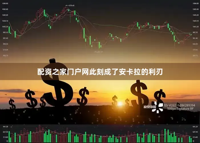 配资之家门户网此刻成了安卡拉的利刃