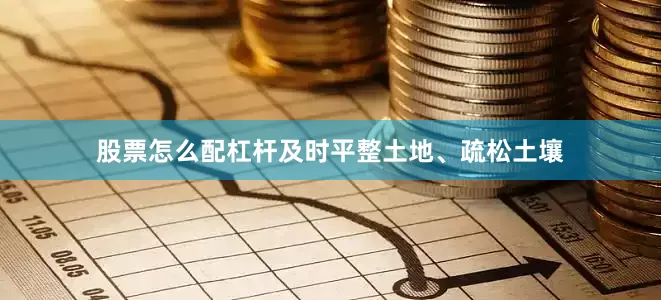 股票怎么配杠杆及时平整土地、疏松土壤