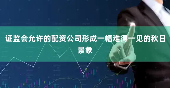 证监会允许的配资公司形成一幅难得一见的秋日景象