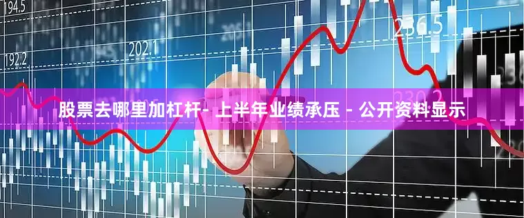 股票去哪里加杠杆- 上半年业绩承压 - 公开资料显示