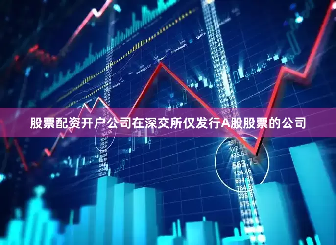 股票配资开户公司在深交所仅发行A股股票的公司